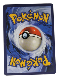 Pokémon -kortti (Herdier 104/149 Sun & Moon)