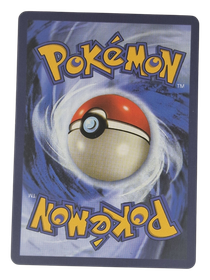 Pokémon -kortti (Stoutland 105/149 Sun & Moon)