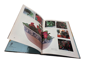 Kirja (Kodin Kukat : Näin Hoidan Kukkiani 1 - Salme Kauppinen)