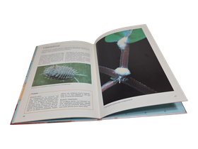 Kirja (Kodin Kukat : Näin Hoidan Kukkiani 2 - Salme Kauppinen)