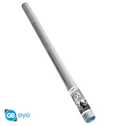 ASSASSIN'S CREED - Juliste 91.5x61 - Valhalla Raid