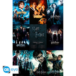 HARRY POTTER - Juliste 91.5x61 - Collection