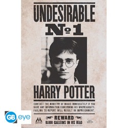 HARRY POTTER - Juliste 91.5x61 - Undesirable n°1