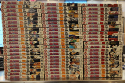 Bleach 1-66