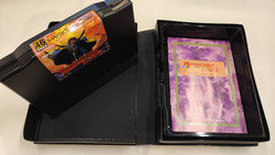 Magician Lord (Neo Geo AES)