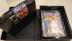 Miracle Adventure (Neo Geo AES)