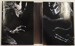Alien & Predator Total Destruction Collection (DVD)