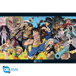 ONE PIECE - Juliste 91.5x61 - Dressrosa *