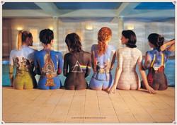 Juliste 91,5cm x 61cm: Pink Floyd Back Catalogue