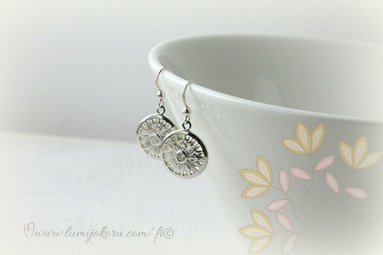 Hopeiset  korvakorut