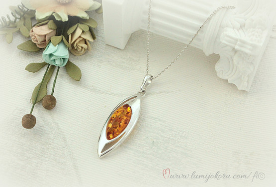 Hopeariipus meripihka kivellä