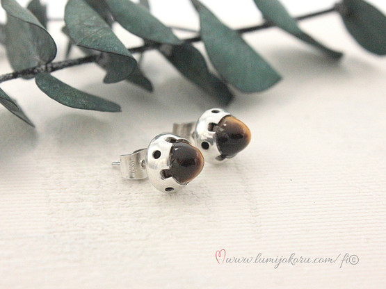 Hopeiset tappikorvakorut