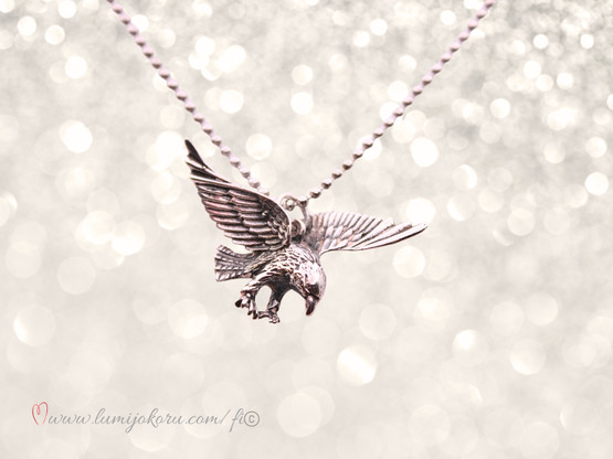 Hopeinen kotkariipus 