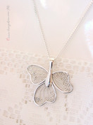 Hopeariipus filigraani