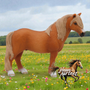 Schleich Dartmoor poni Nipsu 13692