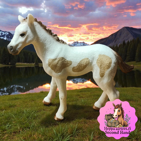 ⭐Schleich Pinto hevonen varsa 83041 Exclusive - Second Hand    ( Kuin uusi)