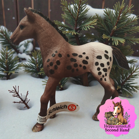 Schleich Horse Club 13862 Appaloosavarsa