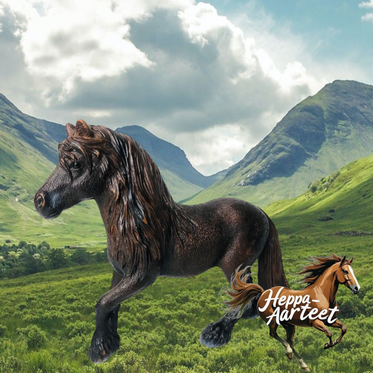 Schleich Shetan Fellponi Tamma 13740 - Second hand