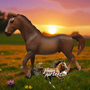 Schleich  Trakehner-ori – Erikoisversio Second Hand 