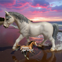 Schleich Lipizzan hevonen 13603 - Second Hand