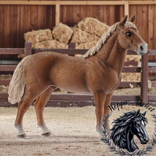 Schleich 13869 Morganin hevonen - Erikoiserä!