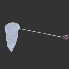 BUTTERFLY NET FOR BEGINNERS