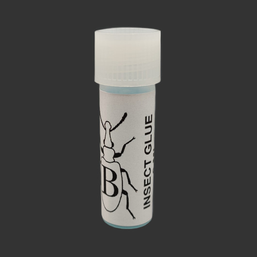 INSECT GLUE