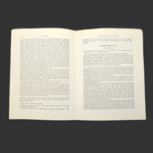REVISION OF THE LEUCOSPIDAE OF THE WORLD