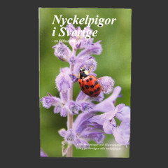 NYCKELPIGOR I SVERIGE