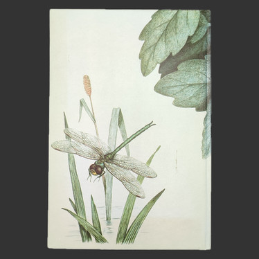 DRAGONFLIES