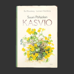 SUURI POHJOLAN KASVIO
