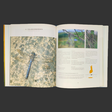 SUOMEN SUDENKORENNOT