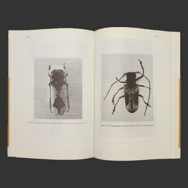 FOREST ENTOMOLOGY IN WEST TROPICAL AFRICA: FOREST INSECTS OF GHANA