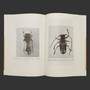 FOREST ENTOMOLOGY IN WEST TROPICAL AFRICA: FOREST INSECTS OF GHANA