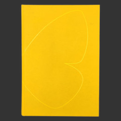 SUOMEN PÄIVÄPERHOSET ELINYMPÄRISTÖSSÄÄN