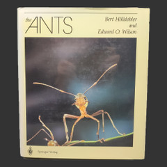 THE ANTS