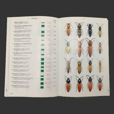 COLEOPTERES PHYTOPHAGES D'EUROPE
