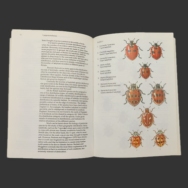 LADYBIRDS