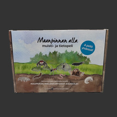 MAANPINNAN ALLA -GAME