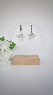 Vesipisara-korvakorut