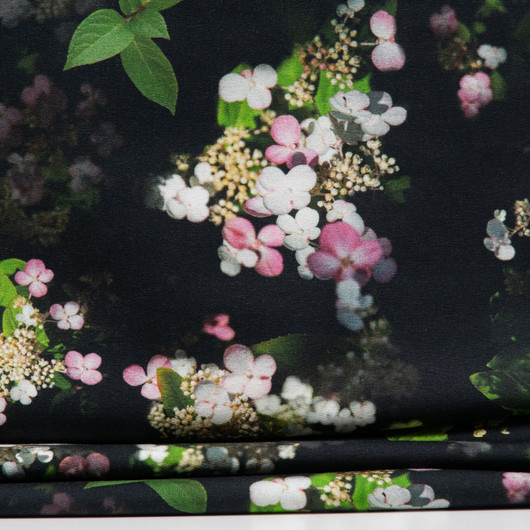 Japaninhortensia joustocollege, musta