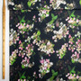 Japaninhortensia tencel, musta