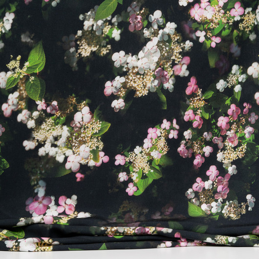 Japaninhortensia tencel, musta