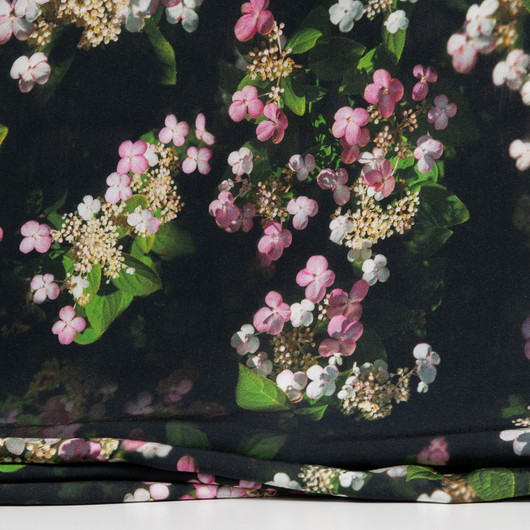 Japaninhortensia tencel, musta