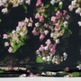 Japaninhortensia tencel, musta
