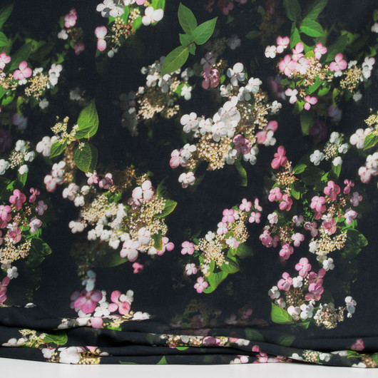 Japaninhortensia tencel, musta