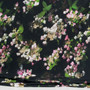 Japaninhortensia tencel, musta