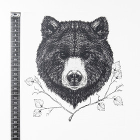 Karhu, silityskuva 21x22cm