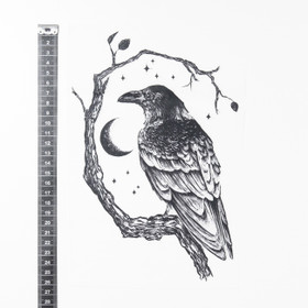 Korppi, silityskuva 17x25cm