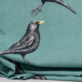 Mustarastas viskoosi, teal